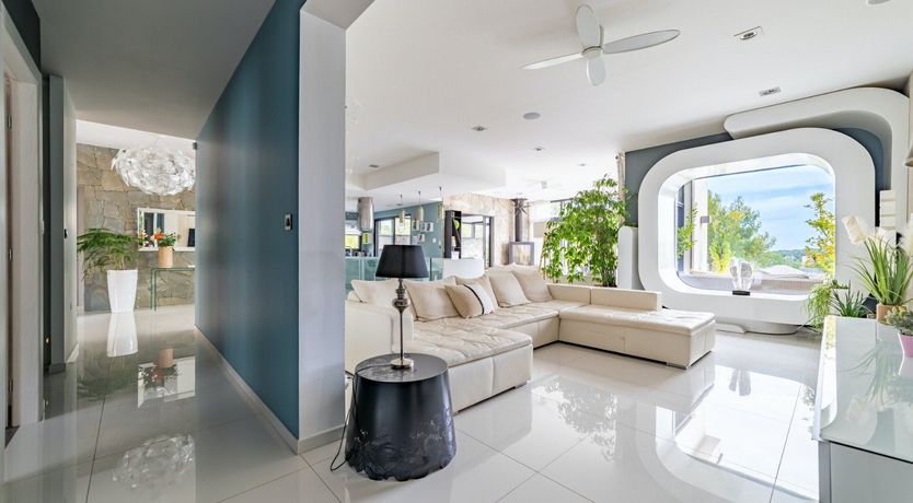 Photo of The Birds of Paradise