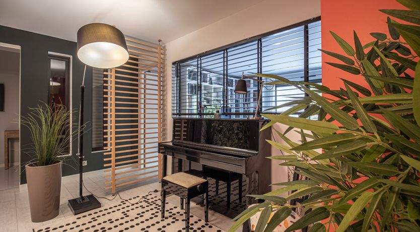 Photo of The Birds of Paradise