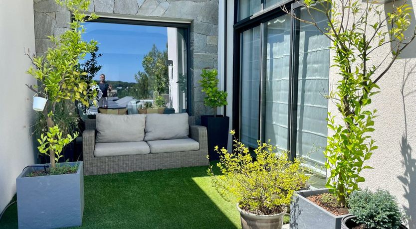 Photo of The Birds of Paradise