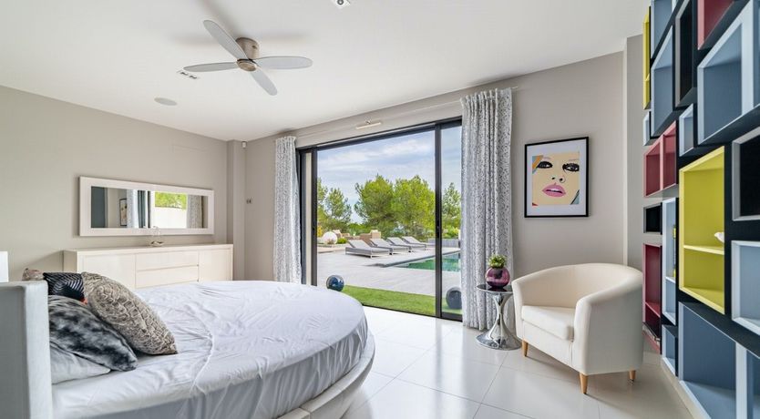 Photo of The Birds of Paradise