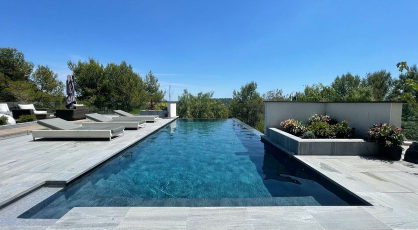 Photo of The Birds of Paradise