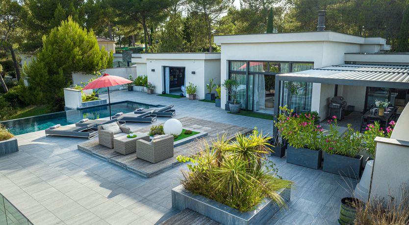 Photo of The Birds of Paradise