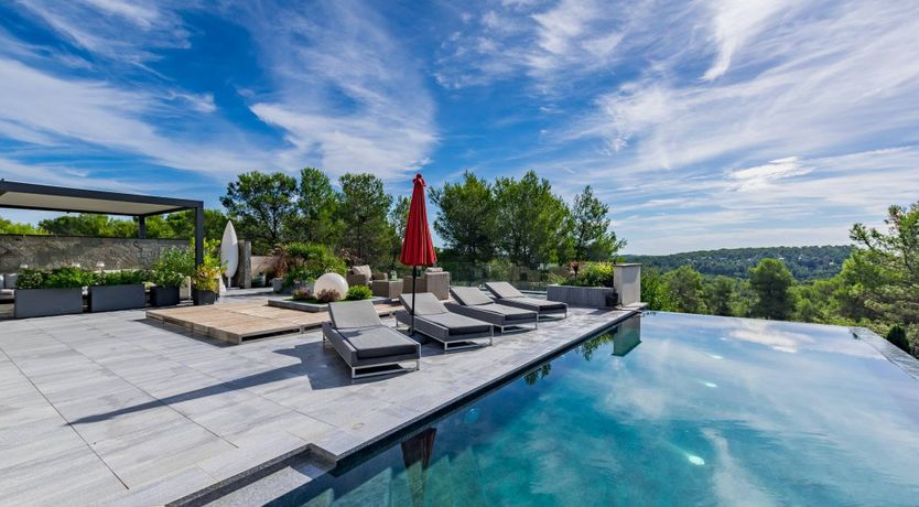 Photo of The Birds of Paradise