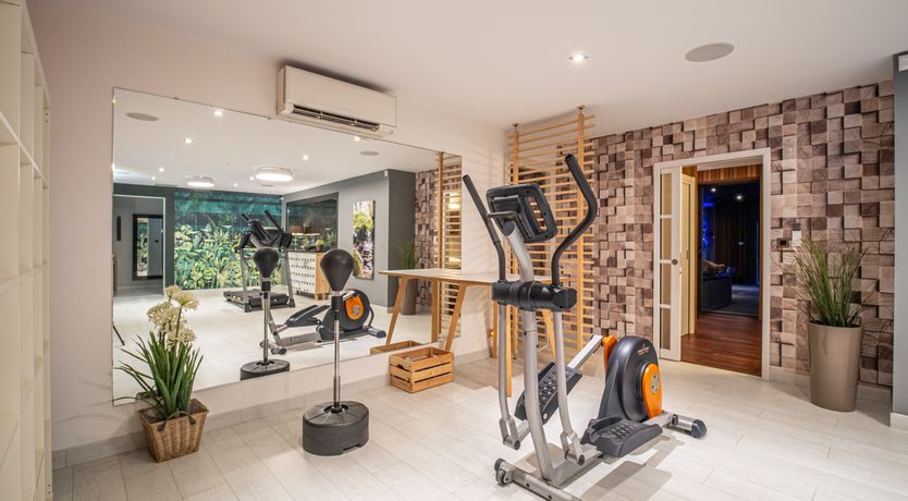 Photo of The Birds of Paradise