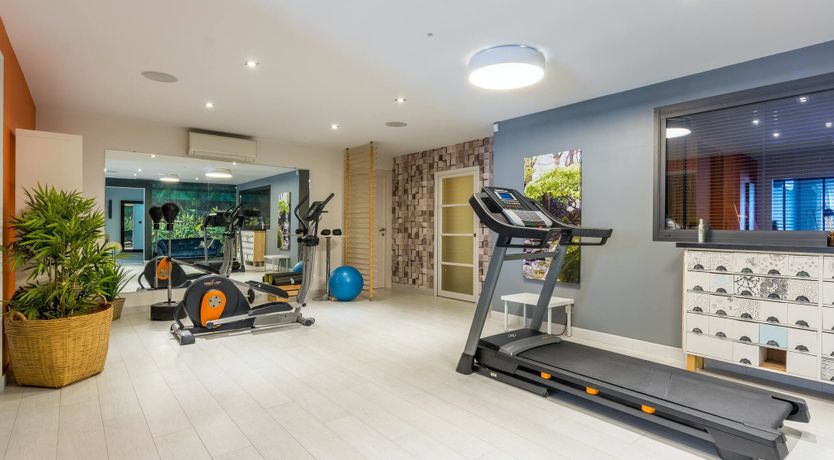 Photo of The Birds of Paradise