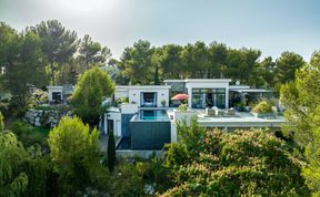 Photo of The Birds of Paradise