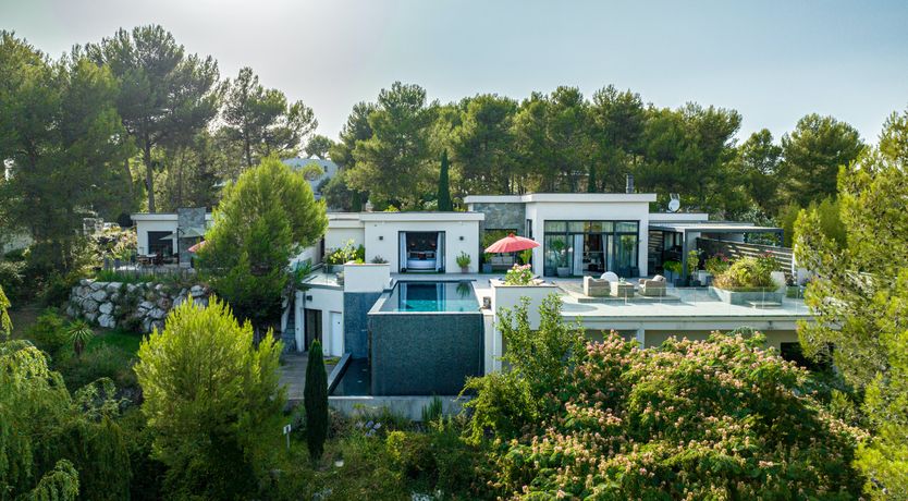 Photo of The Birds of Paradise