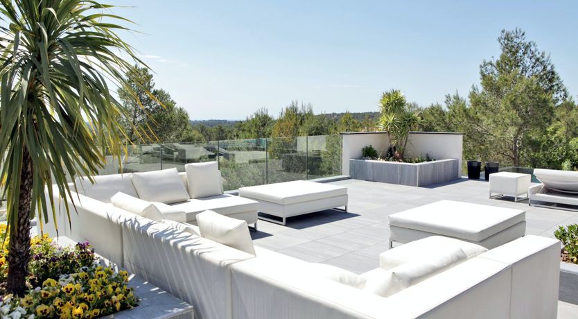 Photo of The Birds of Paradise