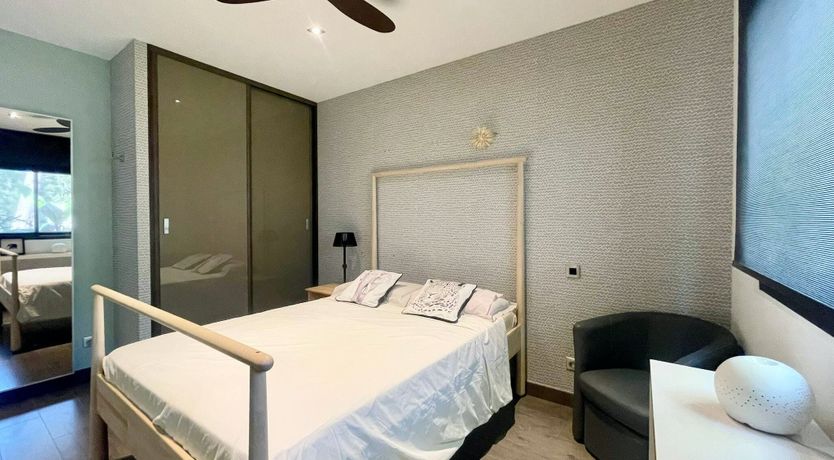 Photo of The Birds of Paradise