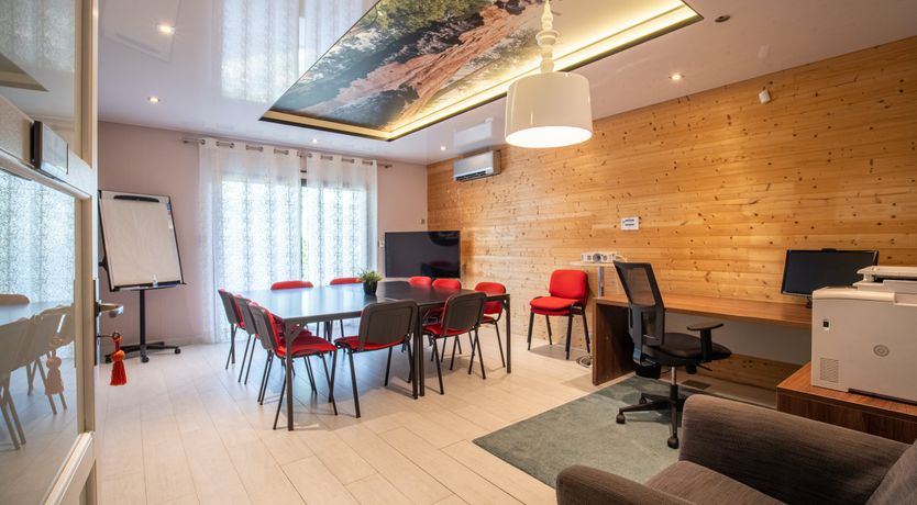 Photo of The Birds of Paradise