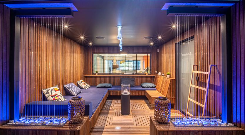 Photo of The Birds of Paradise