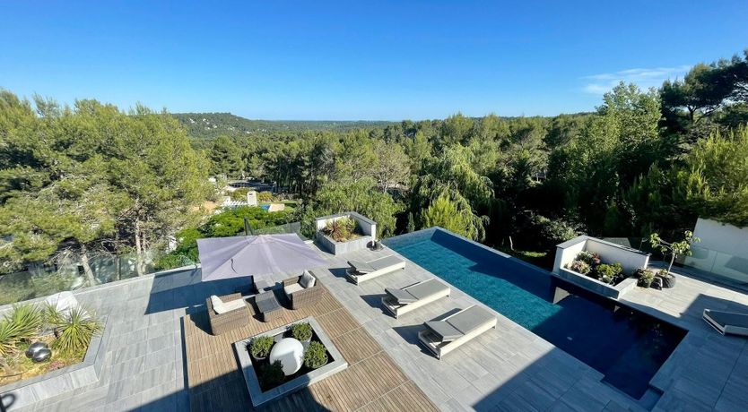 Photo of The Birds of Paradise