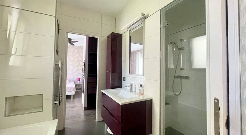 Photo of The Birds of Paradise