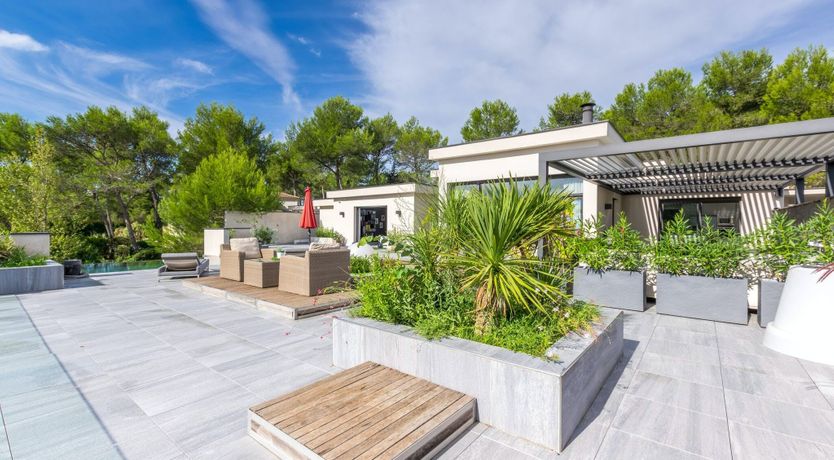 Photo of The Birds of Paradise