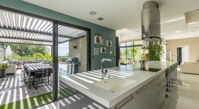 Photo of The Birds of Paradise