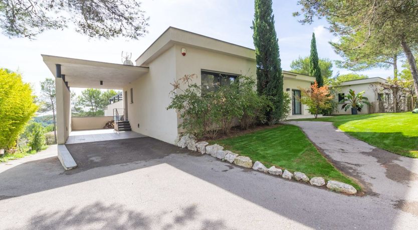 Photo of The Birds of Paradise