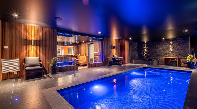 Photo of The Birds of Paradise