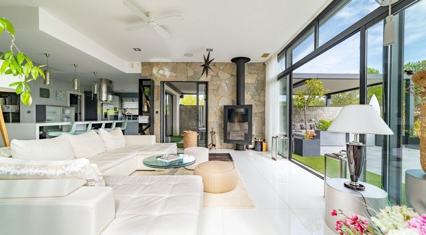 Photo of The Birds of Paradise