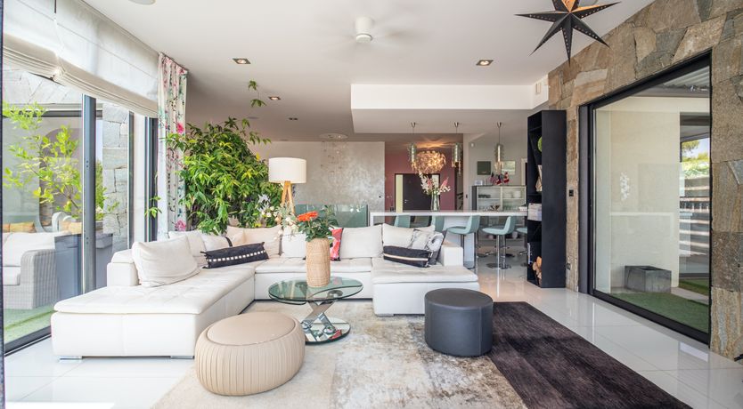 Photo of The Birds of Paradise