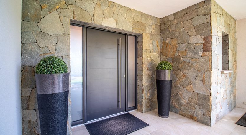 Photo of The Birds of Paradise