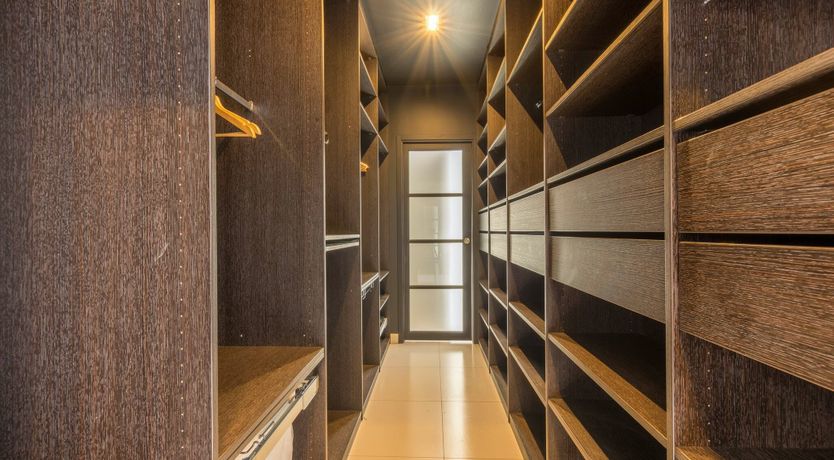 Photo of The Birds of Paradise