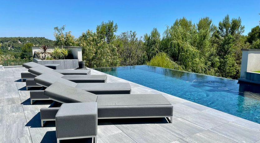 Photo of The Birds of Paradise