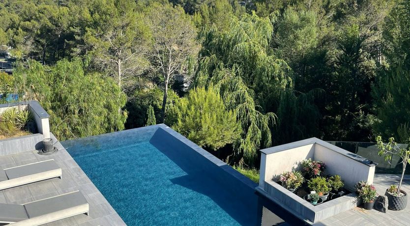 Photo of The Birds of Paradise