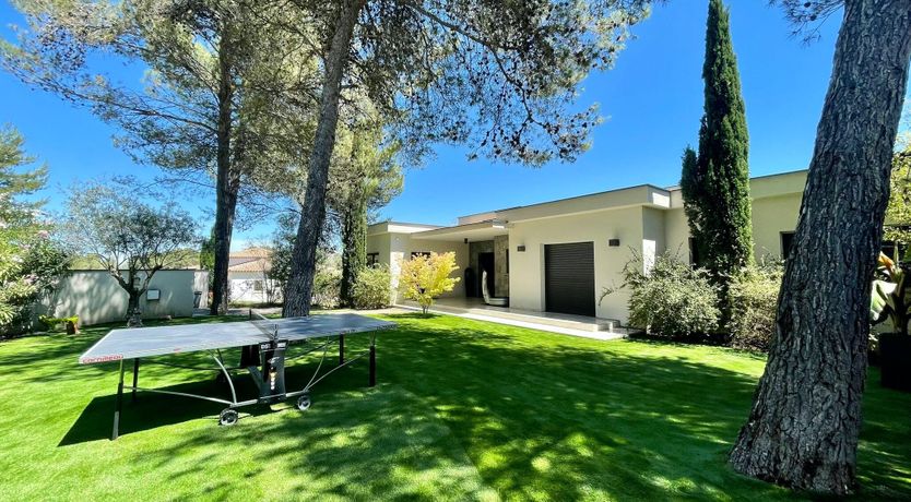 Photo of The Birds of Paradise