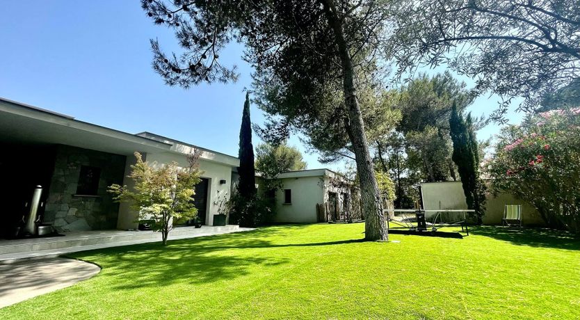 Photo of The Birds of Paradise