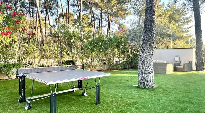 Photo of The Birds of Paradise