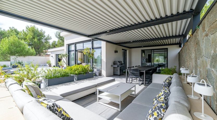 Photo of The Birds of Paradise