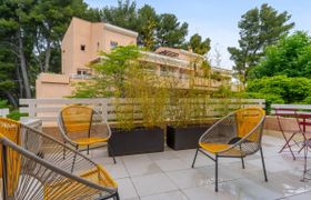 Photo of the-plane-trees