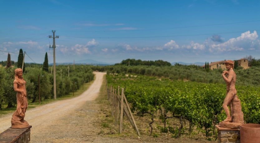 Photo of The Rose of Tuscany