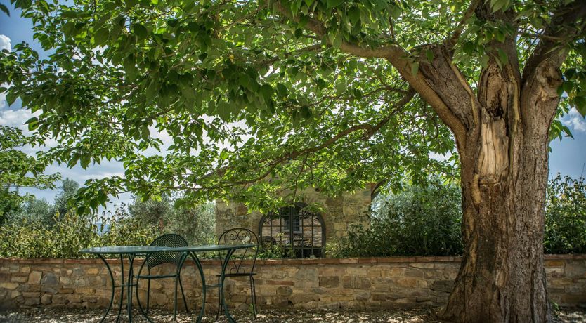 Photo of The Rose of Tuscany