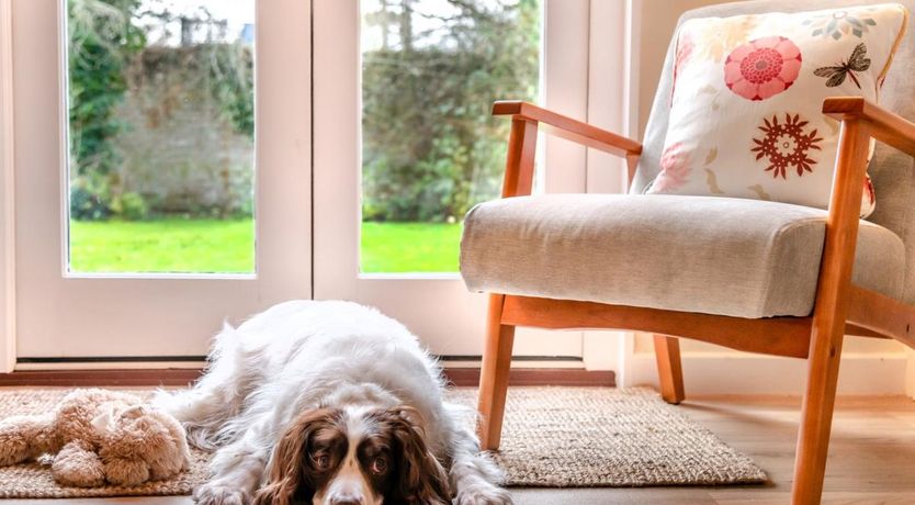 Photo of 2 Bed in Beaulieu