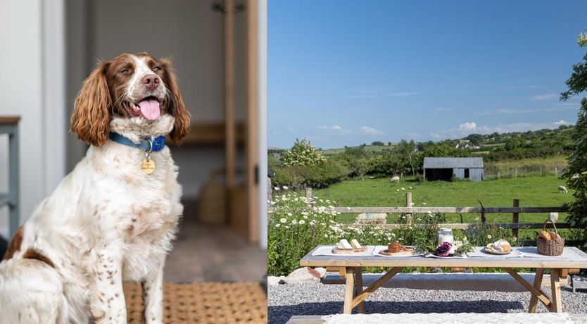 Photo of 3 Bed in Saron