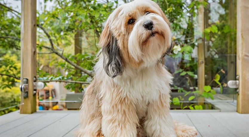 Photo of 2 Bed in Bishops Tawton