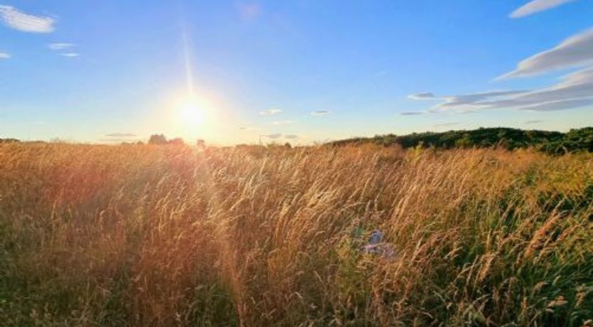 Photo of Bliss On The Bay