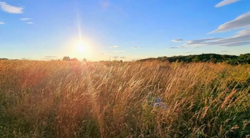 Photo of Sunrise View