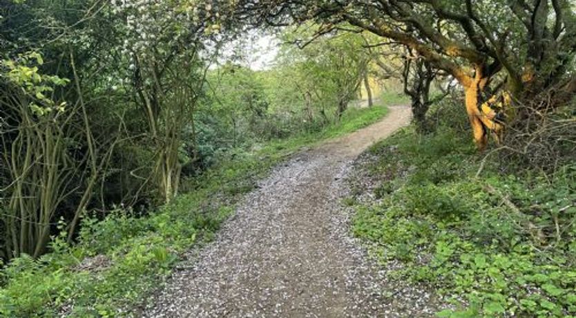 Photo of Starfish Shack