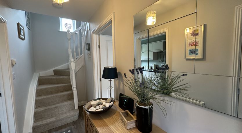 Photo of Newt's Place