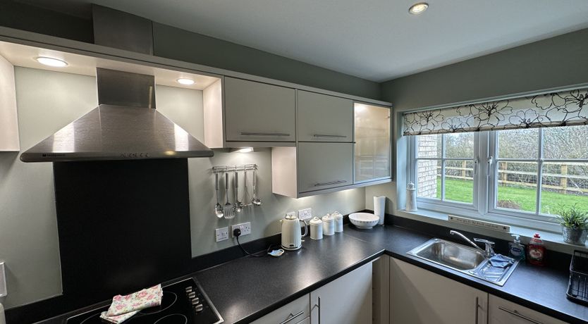 Photo of Newt's Place