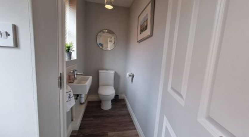 Photo of Newt's Place