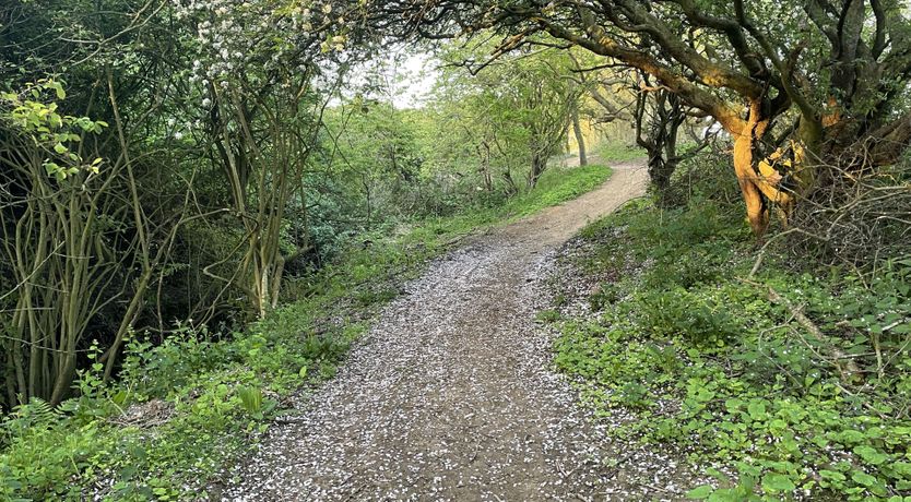 Photo of Walkers' Way