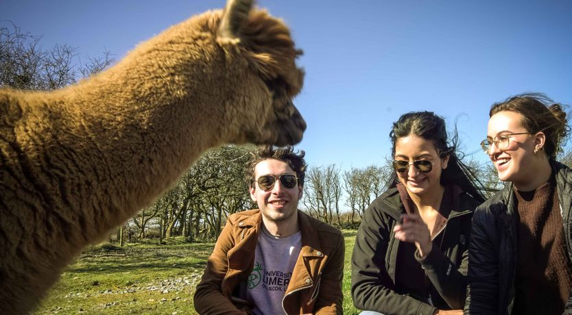 Photo of Sligo Sea Barn
