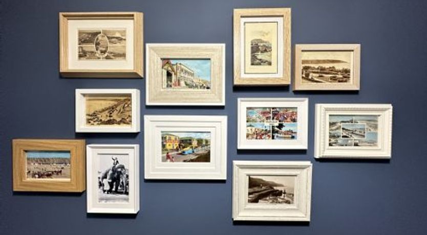 Photo of The Sandpiper