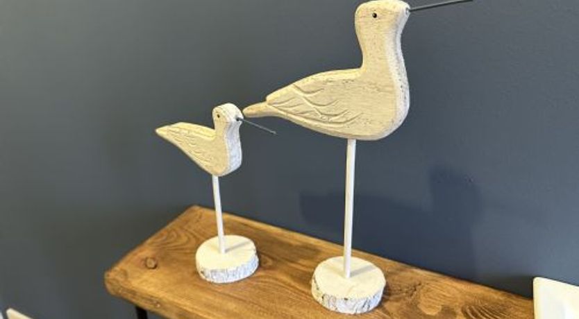 Photo of The Sandpiper