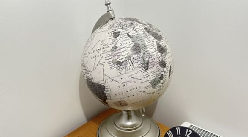 Photo of The Sandpiper