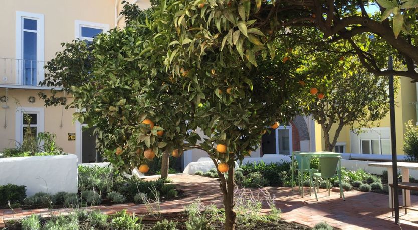 Photo of Jardim de Pedro