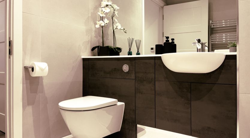 Photo of Oynx & Umber